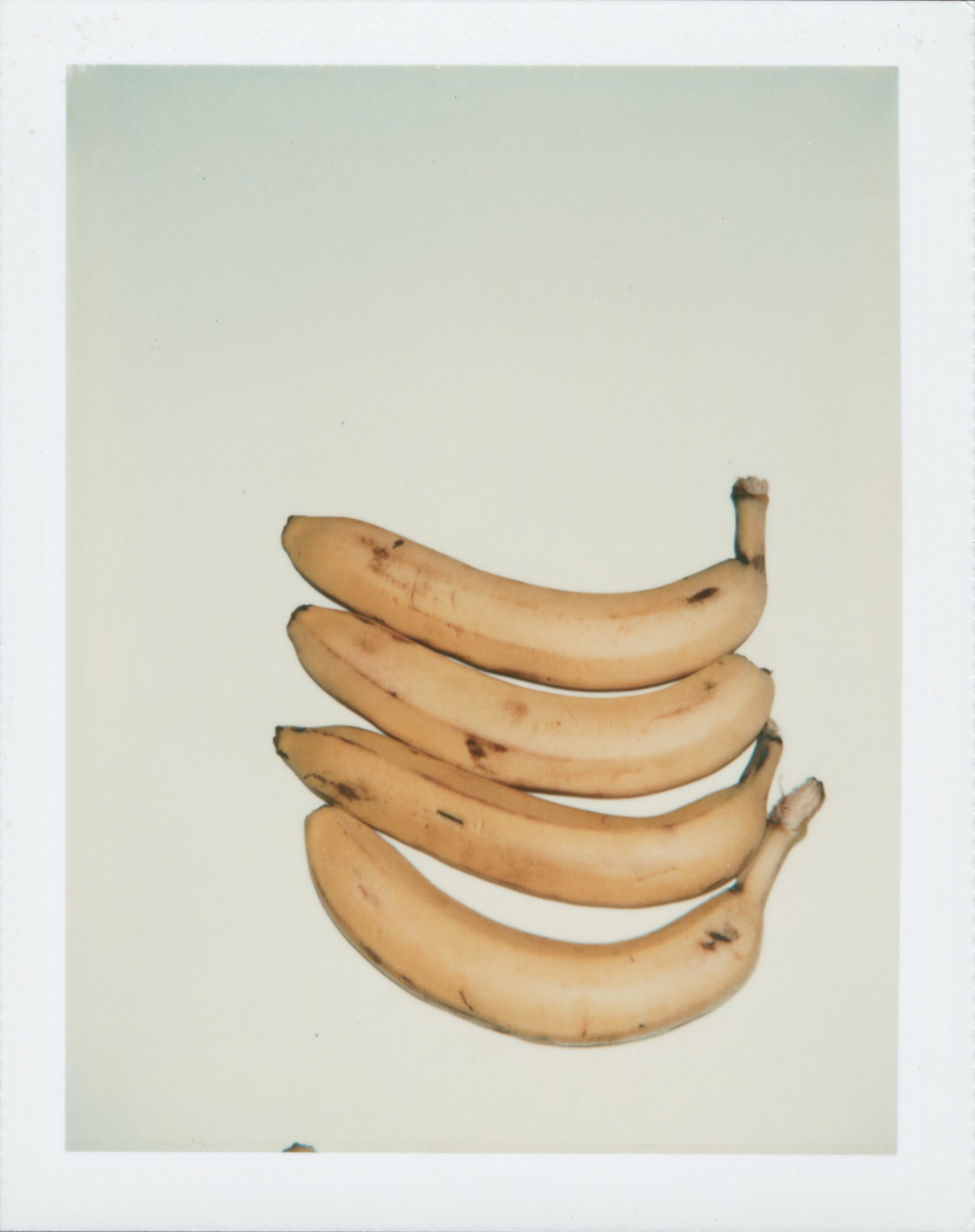 NeueHouse-Warhol-Bananas